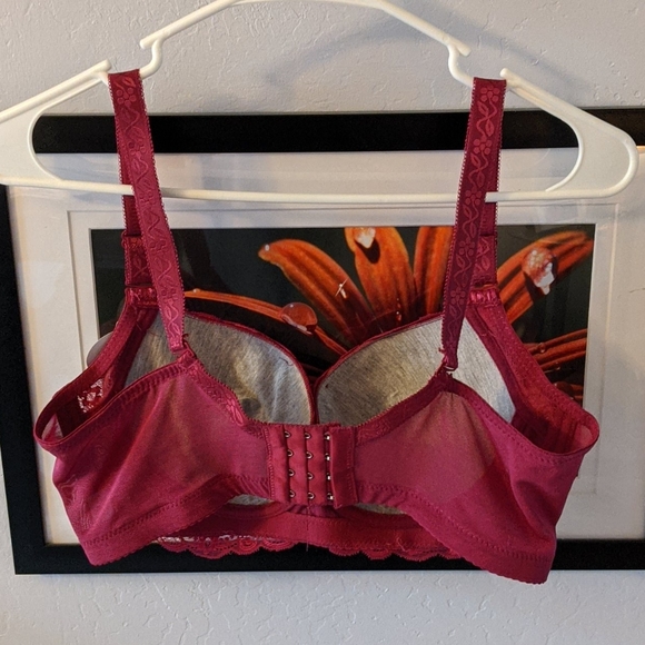 Bra - Red - Picture 3 of 4